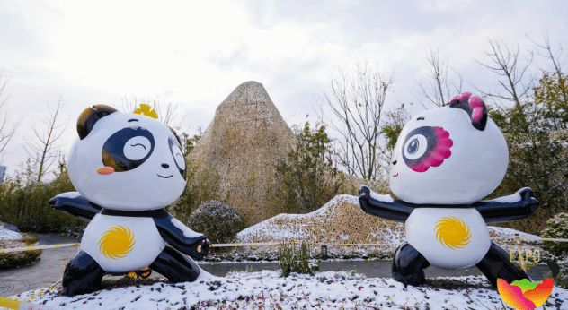 1702717516212494.png image.png